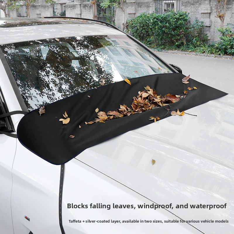 Protector de parabrisas para e - Car Wiper reseña y precio