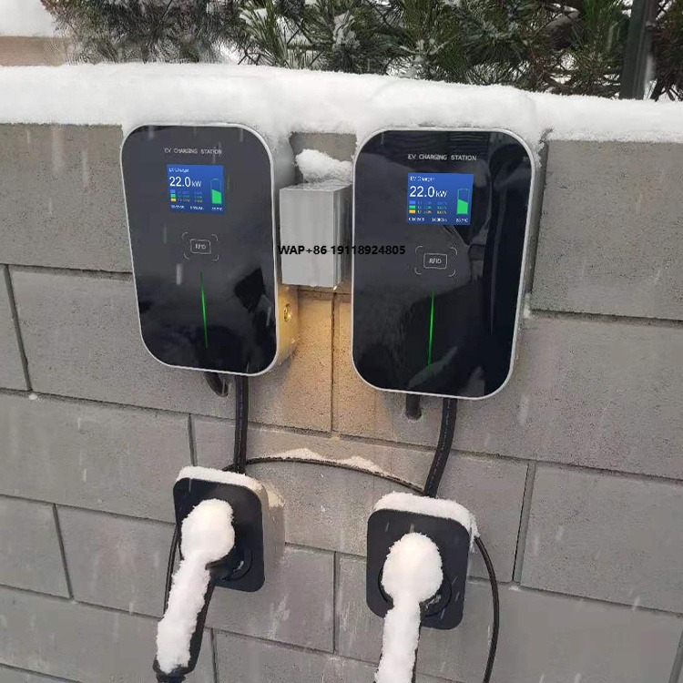 Cargador de Vehículos Eléctric - Car Charger reseña y precio